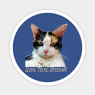 Cute Calico Cat with Attitude – Are You Sure! Magnet